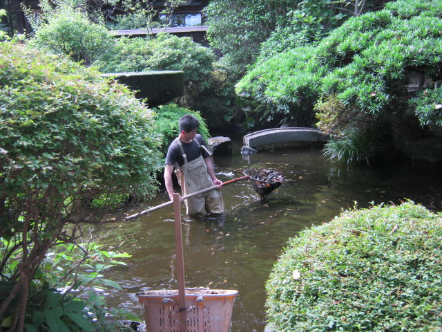 池の掃除 社務日誌
